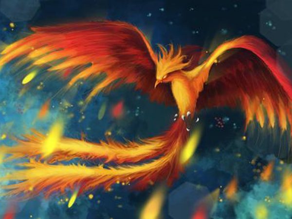 Be a phoenix. Wake-up, re-invent or fall foul of disruption